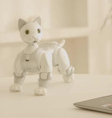 출처: Macrocat 홈페이지