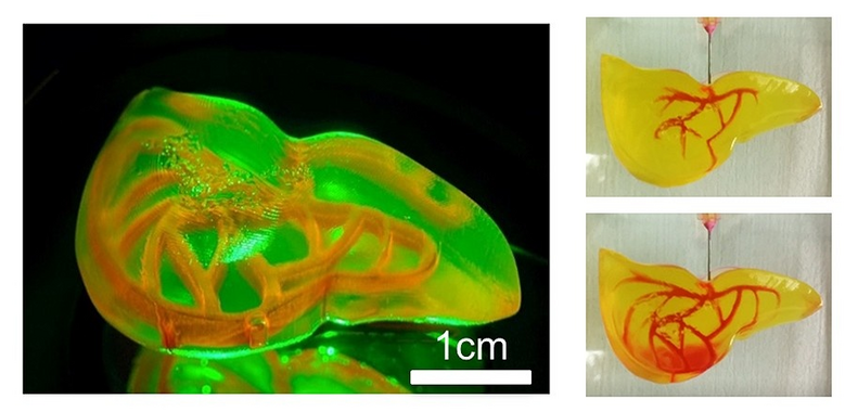 출처: University of Buffalo
