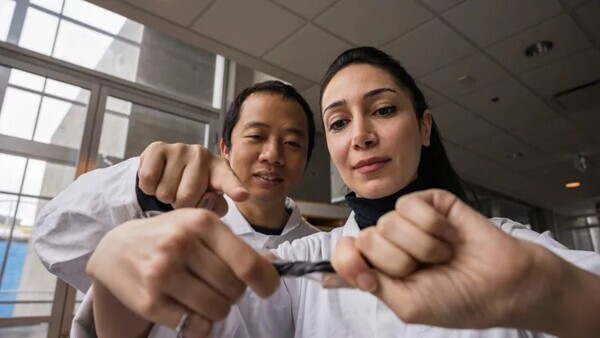 출처: University of British Columbia