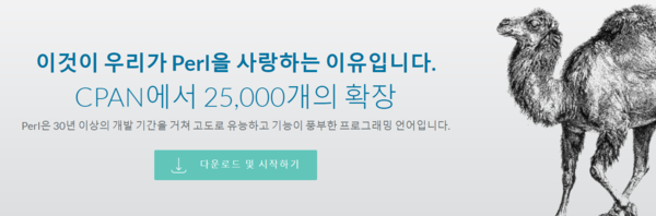 사진 출처 : www.perl.org