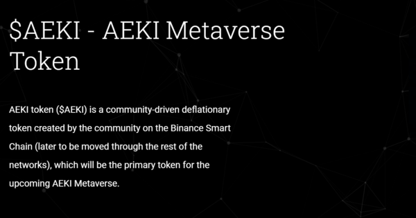 사진 출처 : AEKI Metaverse