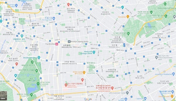 구글 맵은 많은 연구를 바탕으로 지도의 색상 코딩을 기반으로 하고 있다. [사진출처 : 구글 맵]