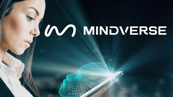 출처: Mindverse