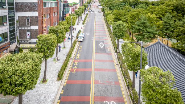 계양구 주부토로 은행나무 사각형 사진=인천광역시