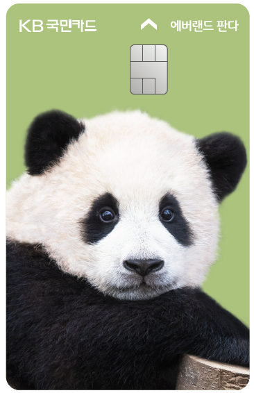 KB국민카드, KB국민 에버랜드 판다카드 푸바오 에디션 출시. 사진=KB국민카드