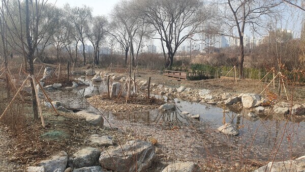 생태습지 및관찰데크. 사진=영등포구