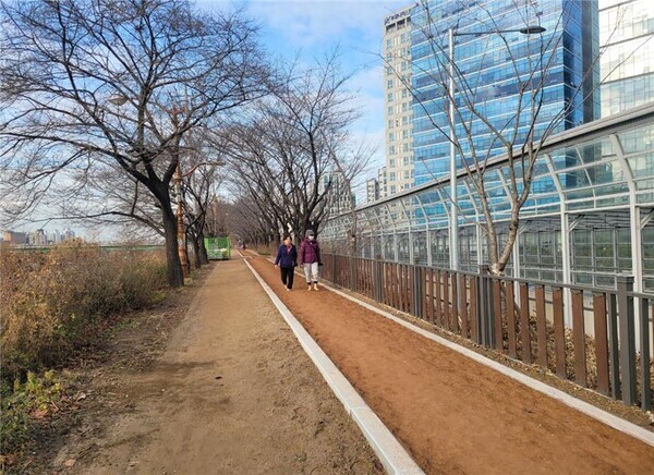 안양천 황톳길을 이용하고 있는 구민 모습. 사진=영등포구