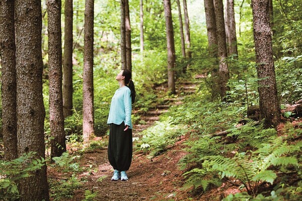 강원도 홍천 선마을 인근의 숲길. 사진=선마을 제공